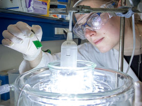 Photosynthetic microalgae as biocatalysts