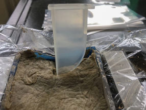 Diatom ooze sediments are a large marine mercury sink