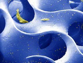 Process to 3D print piezoelectric materials developed
