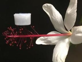 Ultra-lightweight ceramic material that withstands extreme temperatures