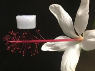 Ultra-lightweight ceramic material that withstands extreme temperatures