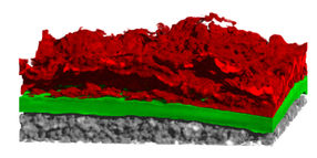 3D tomographic imagery reveals how lithium batteries age