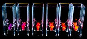 Secrets of fluorescent microalgae could lead to super-efficient solar cells