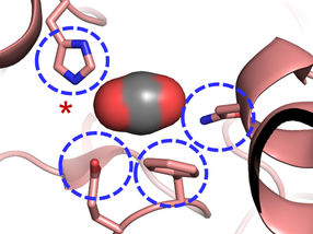In the active centre of carbon dioxide conversion