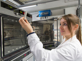 “Frustrated” ions for solid-state batteries