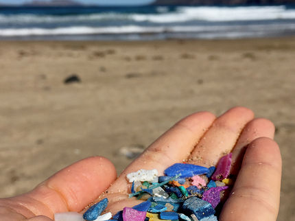 No chance for environment-relieving plastic decomposition by bacteria