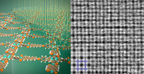 Bottom-up Synthesis of Crystalline 2D Polymers