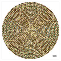 4D imaging with liquid crystal microlenses