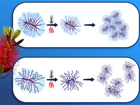 Smart bottle brushes