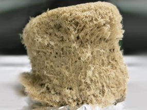 Materials Research Says Yes to Wood