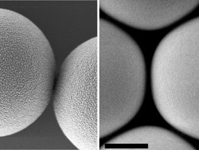 Supposedly similar microplastic particles show different levels of toxicity