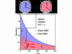 Snapshots from the quantum world