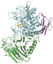 A previously unknown bacterial enzyme makes new type of biodegradable polymer