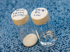 Rice process aims to strip ammonia from wastewater