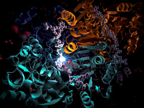 How a soil microbe could rev up artificial photosynthesis