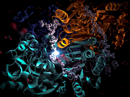 How a soil microbe could rev up artificial photosynthesis