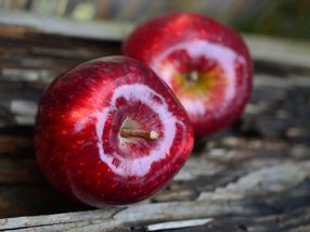 95% nanoplastic removal with apples?!