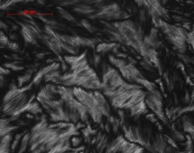 Breakthrough in industrialscale nanotube processing