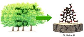 sustainable chemistry