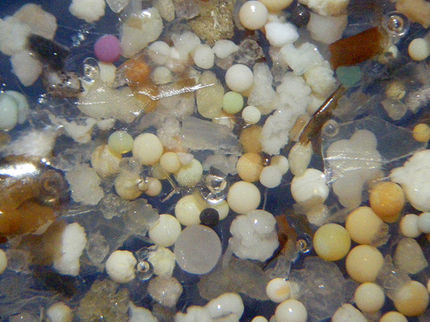pollution microplastics