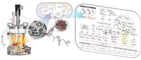 Non-natural biomedical polymers produced from microorganisms