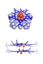 Scientists discover 'supramolecule' that could help reduce nuclear, agricultural waste