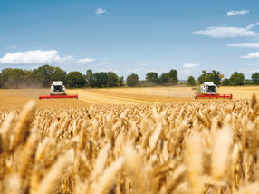 Bayer becomes partner of the Centre for Crop Health and Protection consortium