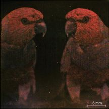 Nanocubes simplify printing and imaging in color and infrared
