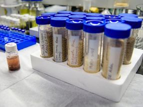 A sweeter way to make green products