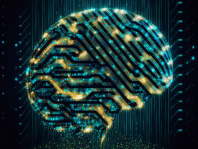New software based on Artificial Intelligence helps to interpret complex data
