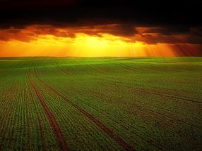 Producing fertiliser without carbon emissions