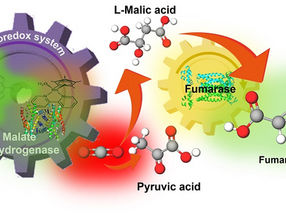 Artificial photosynthesis uses sunlight to make biodegradable plastic