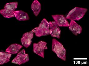 Electrocatalysis: Iron and Cobalt Oxyhydroxides examined at BESSY II
