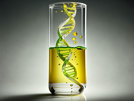 Genetically harmful compounds detected in vegetable oils