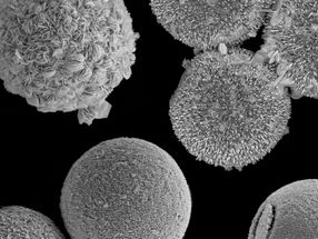 New method transforms algae shells into technologically relevant functional materials