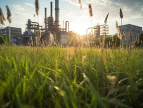 Tiny microbes could brew big benefits for green biomanufacturing