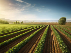 Weed killers of the future could soon be based on failed antibiotics
