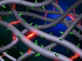 Discovery challenges 30-year-old dogma in associative polymers research