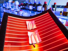 HZB and University of Jena found Helmholtz Institute for Polymers in Energy Applications