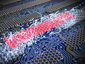 Carbon-based quantum technology