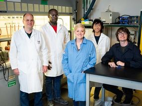 Making materials more durable through science