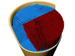 Structure formation during freeze casting filmed in 3D and real time