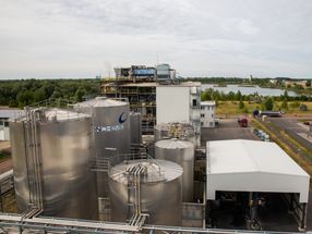Non-toxic plasticisers for use in elastomers and thermoplastics