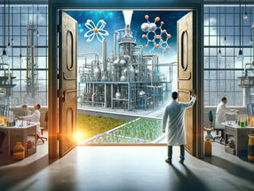 New door opened to understanding the catalysis of ammonia production