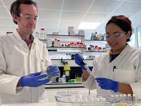 King's scientists discover enzyme used in laundry detergent can recycle single-use plastics