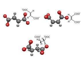 Molecular orbitals determine stability