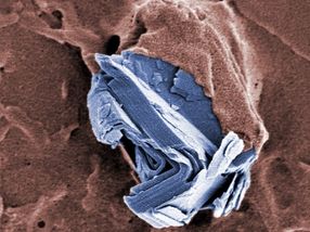 Graphene research: numerous products, no acute dangers