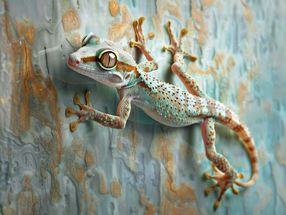 Inspired by the gecko: Better adhesion properties of plastics through combined micro- and nanostructures