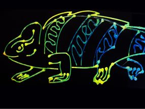 Chameleons inspire new multicolor 3D-printing technology
