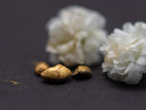 Turning waste into gold
